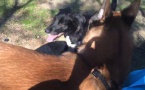 test upload vidéo Hox &amp; Leale