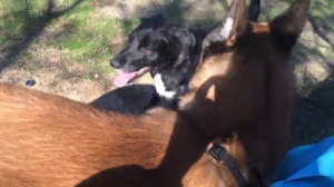 test upload vidéo Hox &amp; Leale