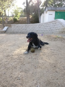 Test publication auto FB