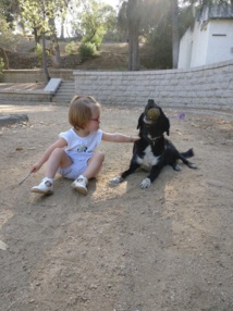 Test publication auto FB