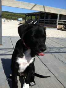 Nouveau test limite nombre caractère sur la publication Twitter Nouveau test limite nombre caractère sur la publication Twitter