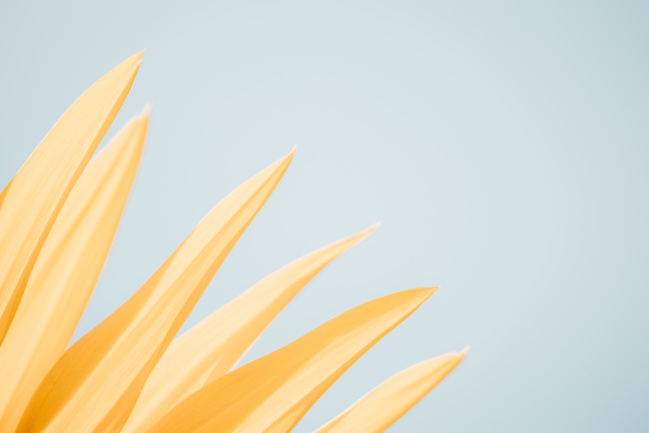 Test publication sur Twitter 14:53