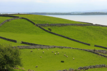 Le back office, votre plus fidèle allié Le back office, votre plus fidèle allié