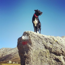 Test publication différée 15h20, position 1 module de une zone de titre Test publication différée 15h20, position 1 module de une zone de titre