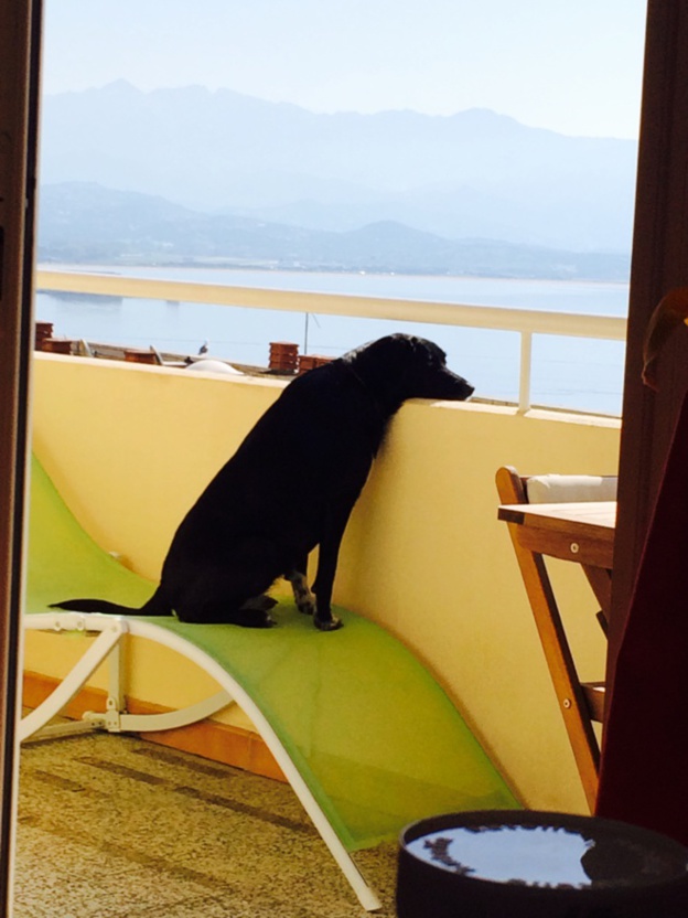 test FB comments test FB comments