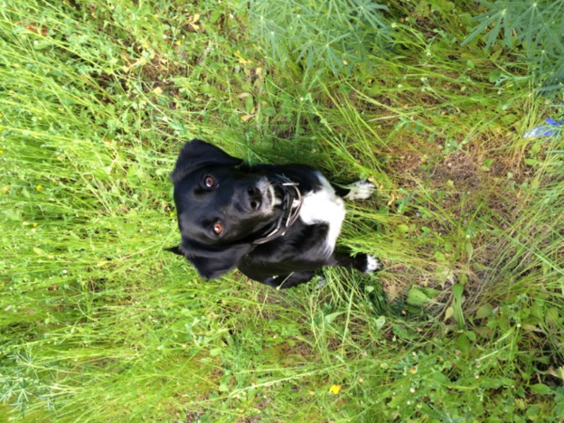 test FB comments test FB comments