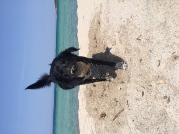 test FB comments test FB comments