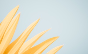 Test publication sur Twitter 14:53