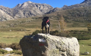 Une page de brève