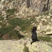 IMG_3307 IMG_3307
