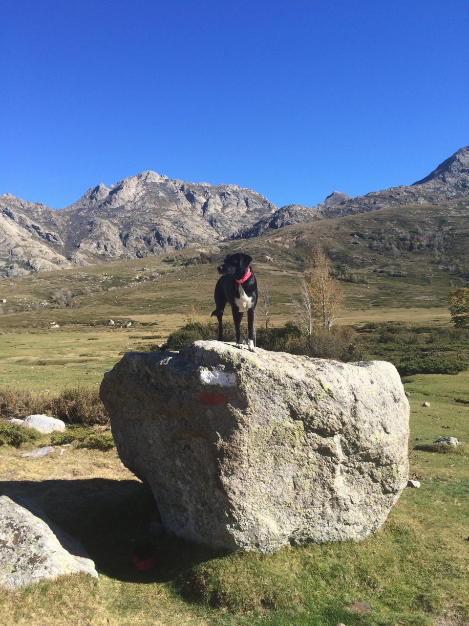 Titre : Hoxton Titre : Hoxton